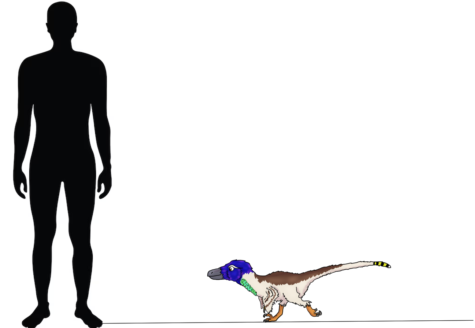 exapataosaurus comparación.png