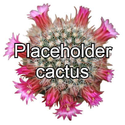 placeholder cactus.png
