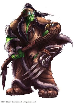 An orc shaman