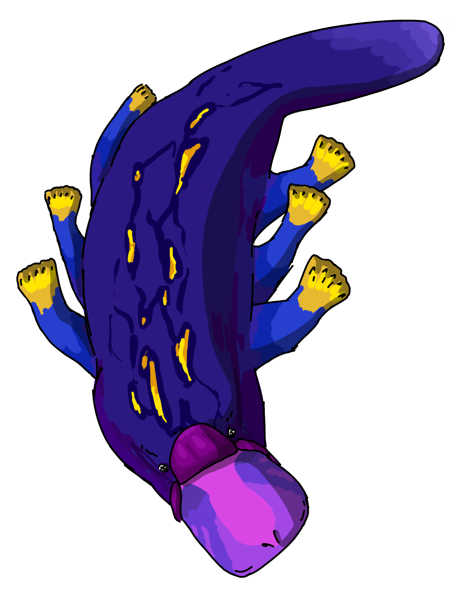 platypus_purpletrans.png