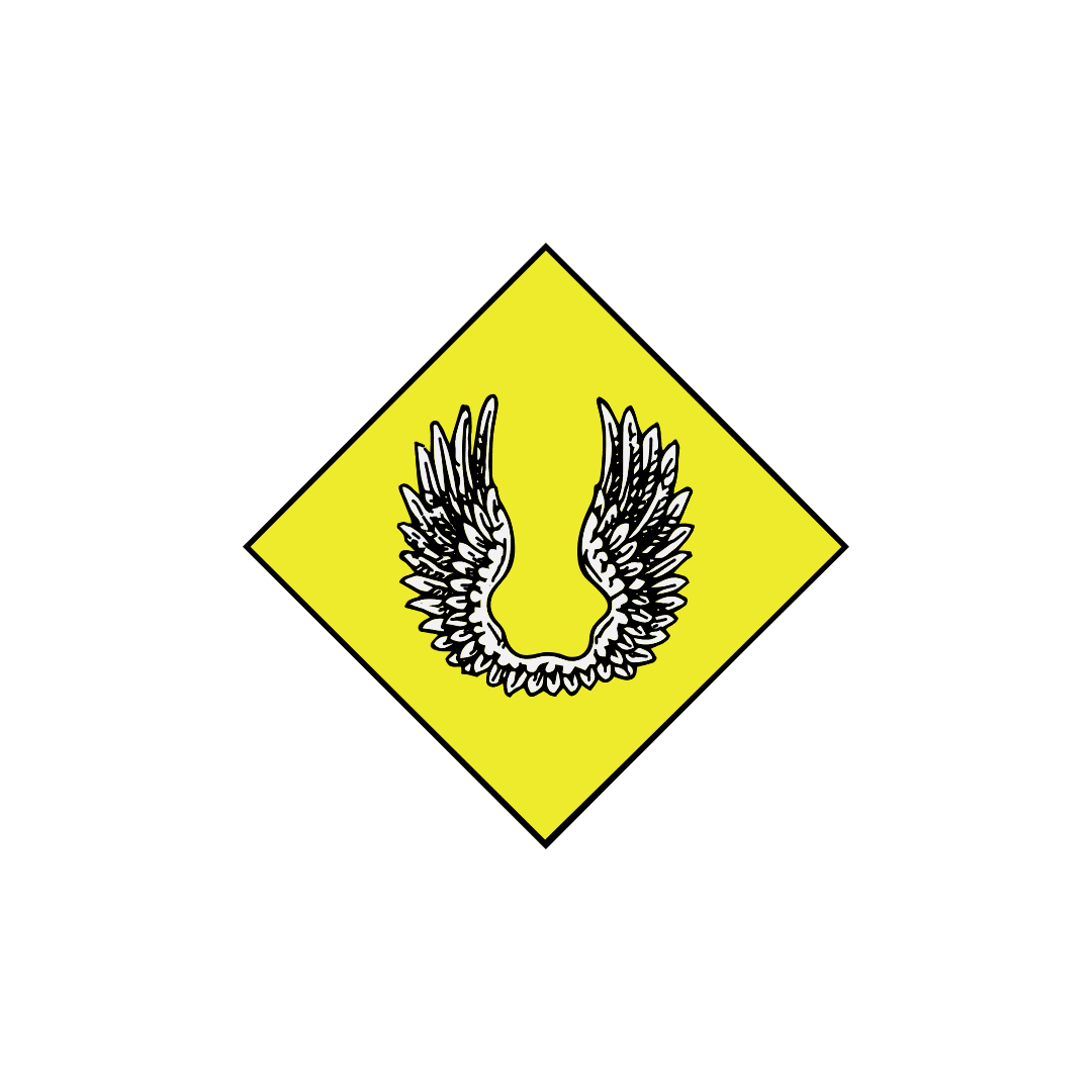 Air Satrap Organization in Solasum | World Anvil