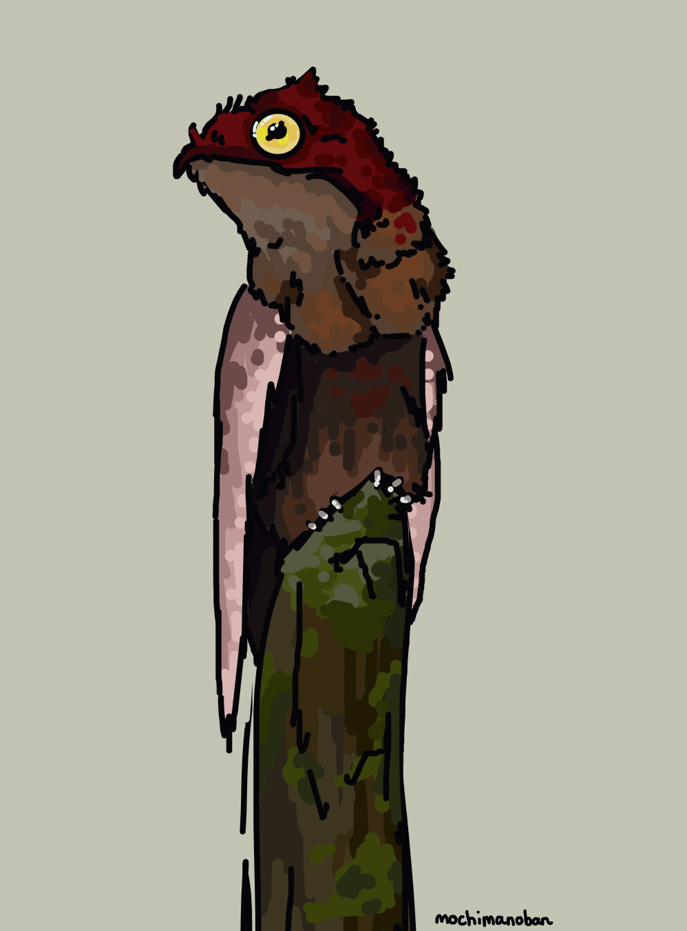 redpotoo.webp