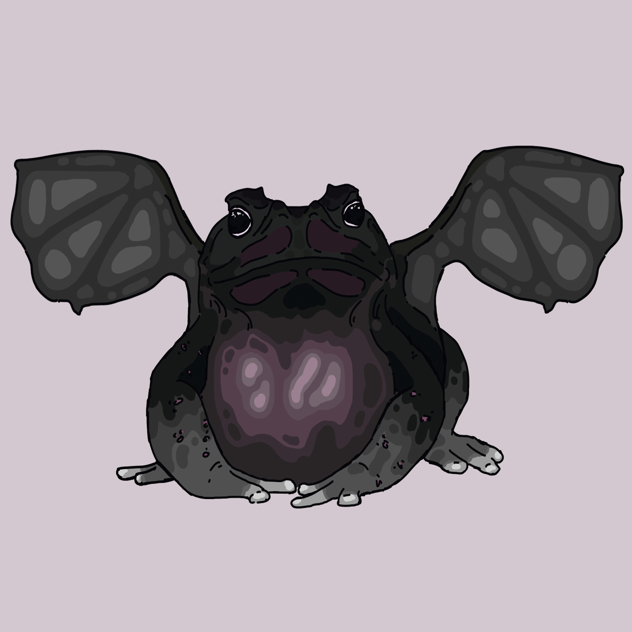 blackwingedfrog.webp