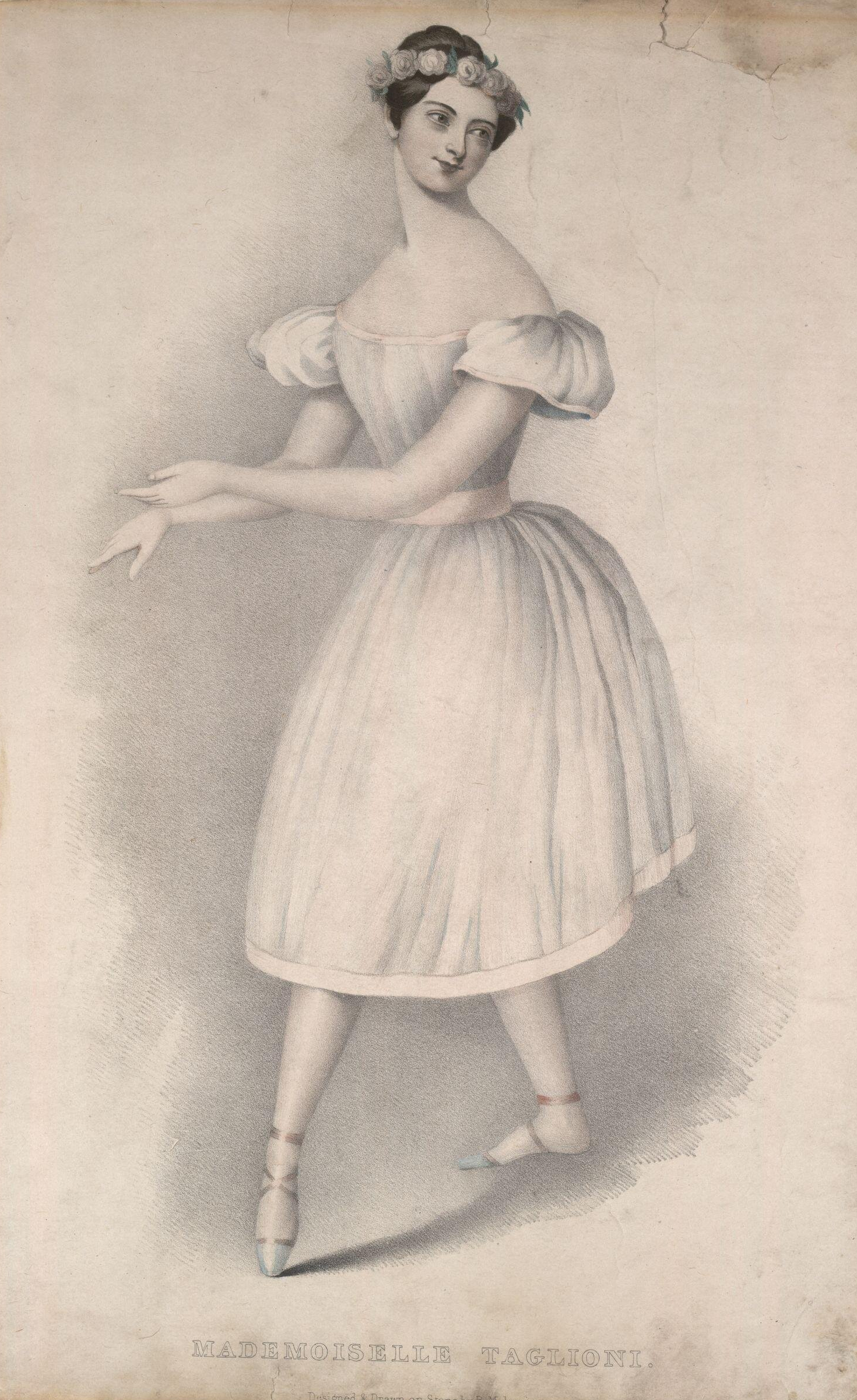Cardinal Dancer