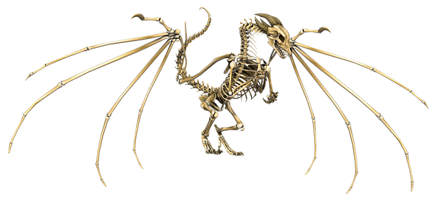 dragon skeleton