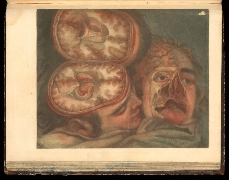 Inside Brain Inside Brain
