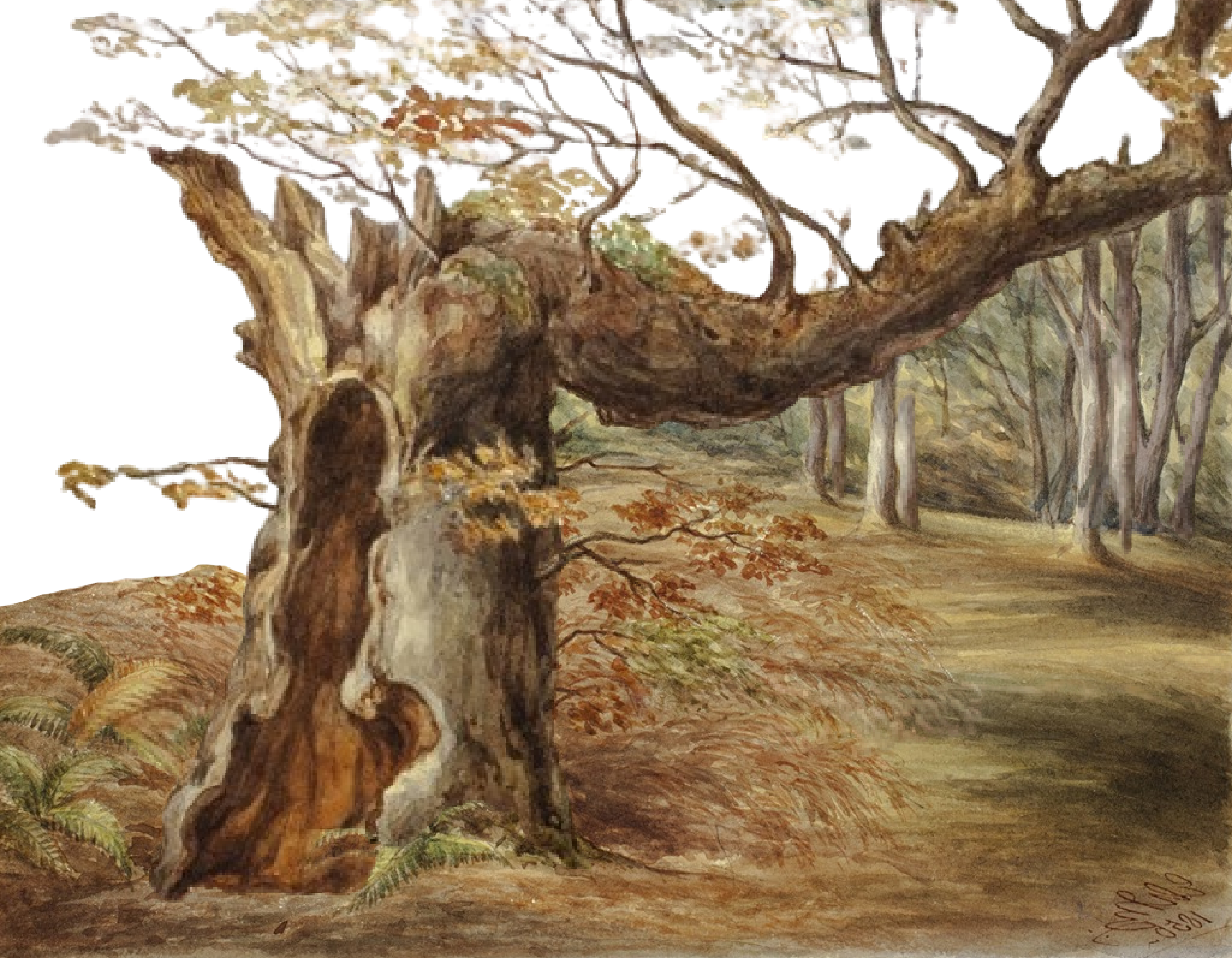 The Green House The Green House