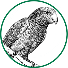 Scraps (Familiar) Token