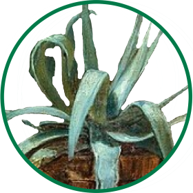 Shambling Goatleaf token
