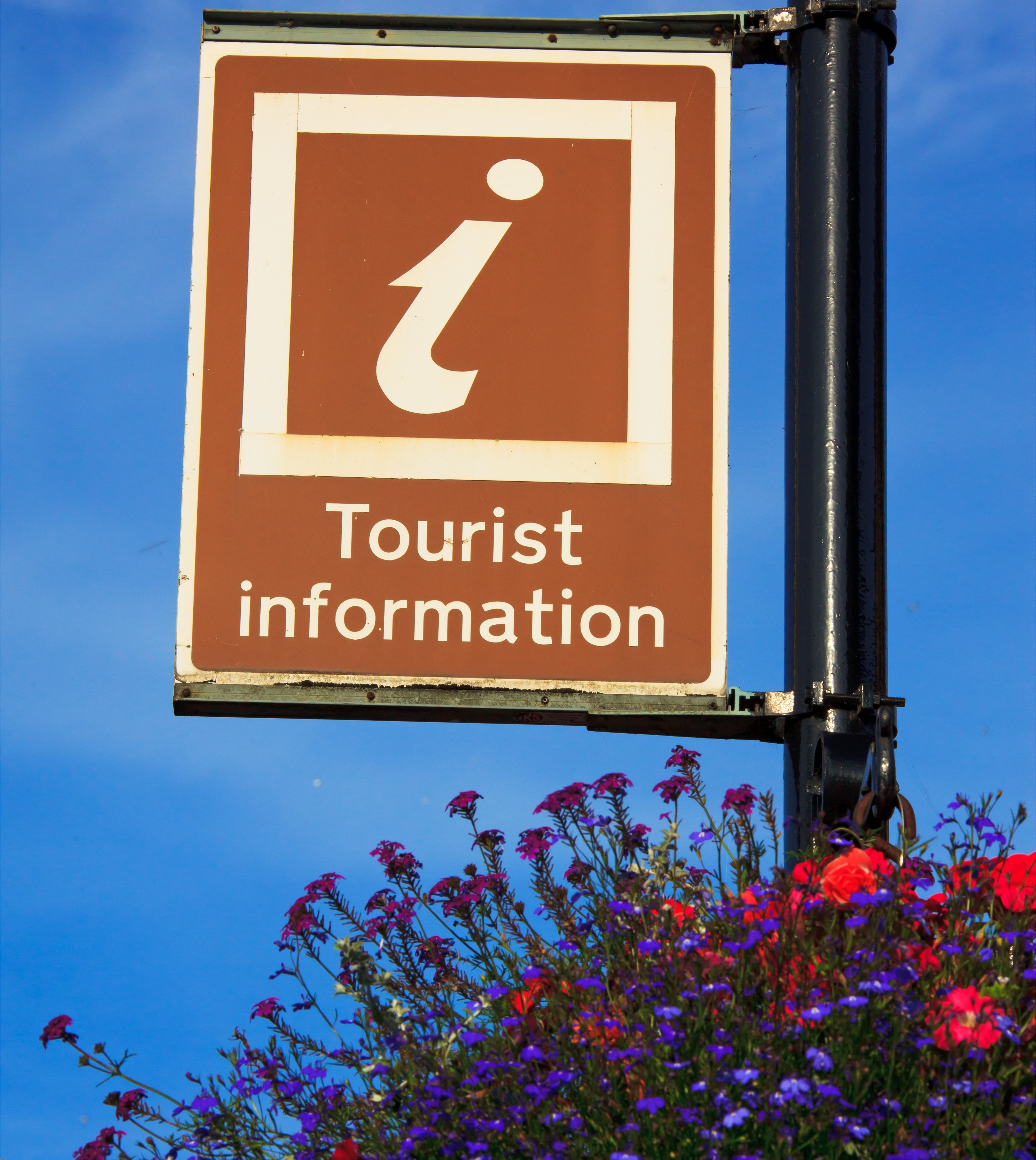 A tourist information sign over a flowering bush