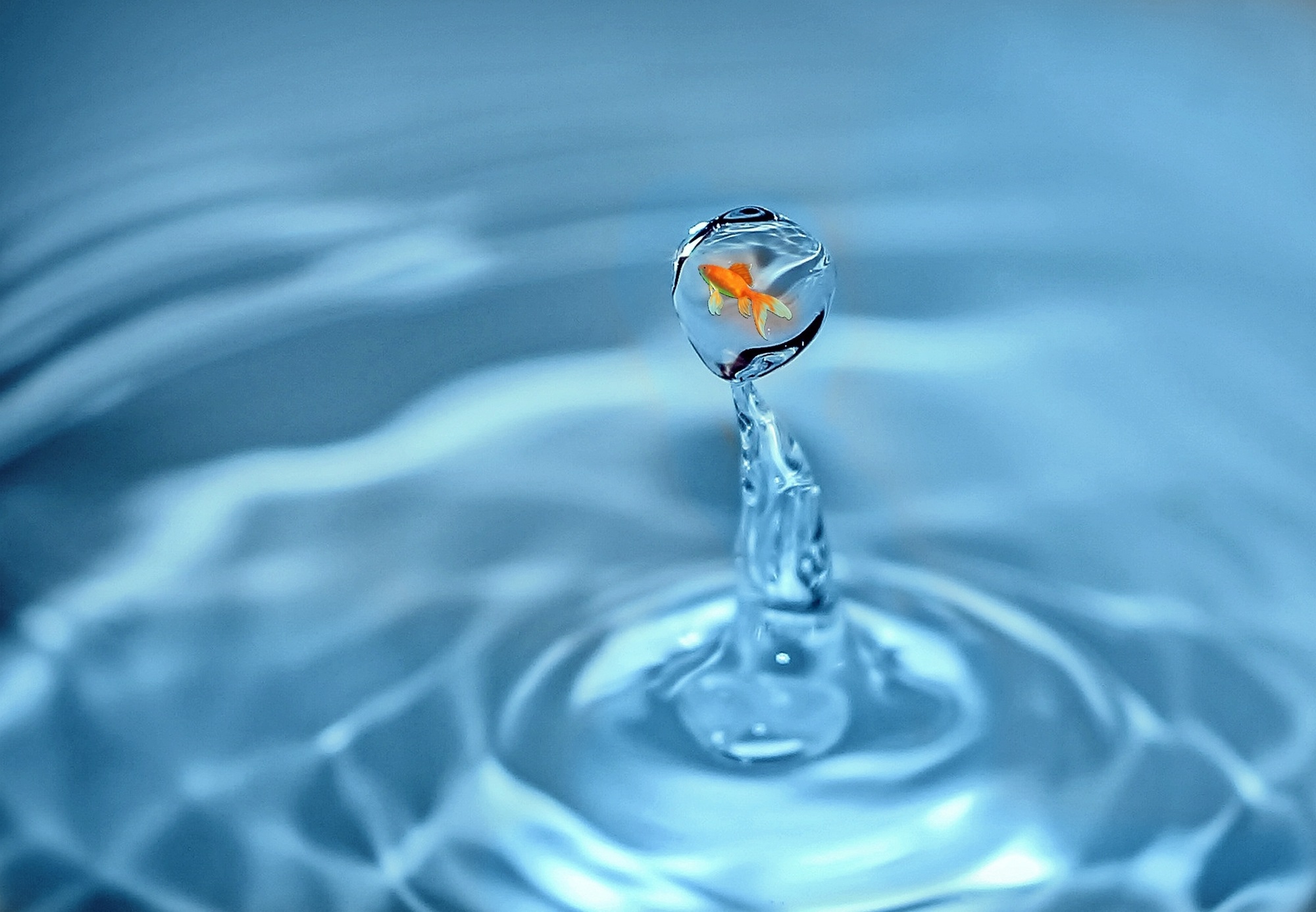 A goldfish in a bubble at the top of a cone of water