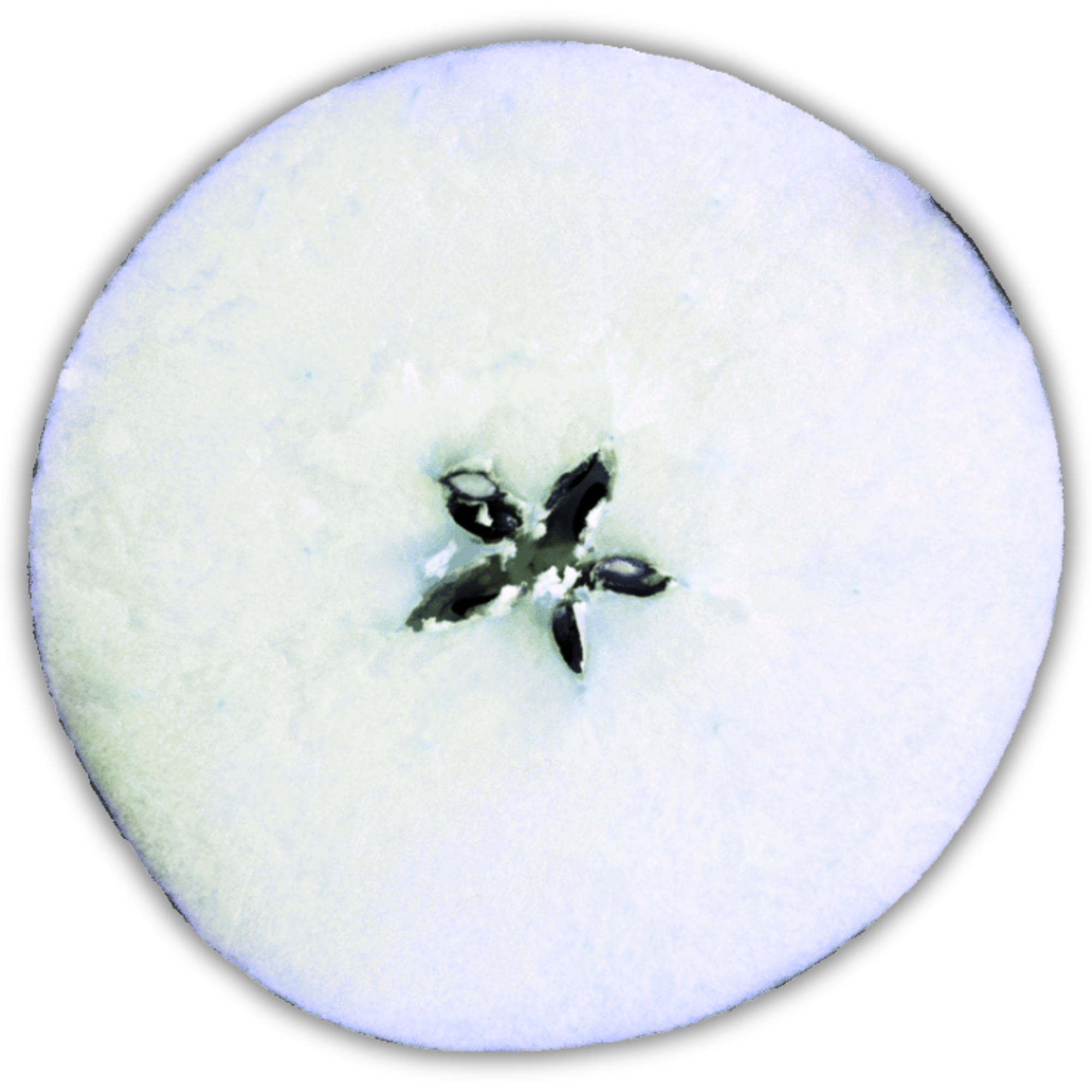 A cross-section slice of an apple with purple and green tints to its flesh, and black seeds in the center