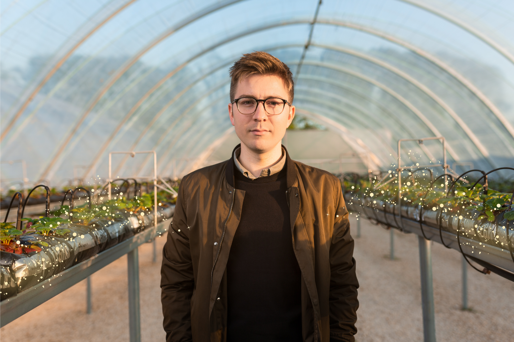 Chemomancy.png A neatly dressed young man in glasses standing in a greenhouse, with magic-sparkling plants growing along side-rows