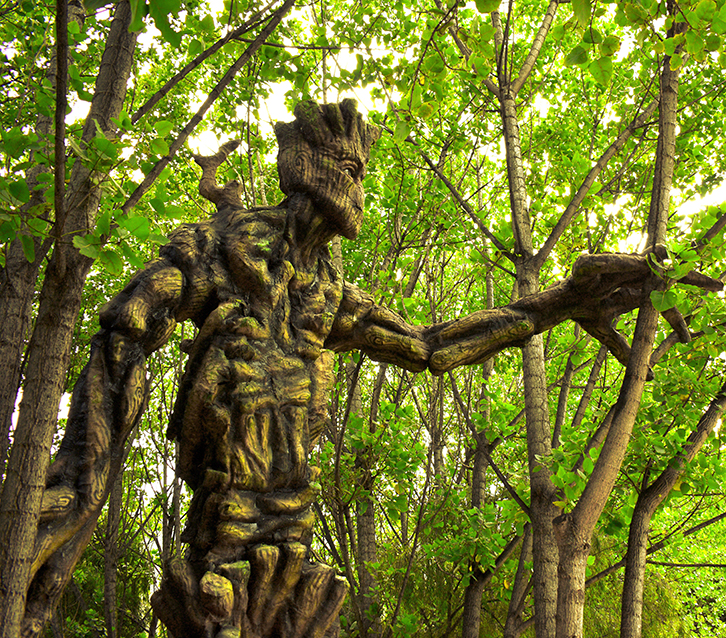 A walking tree-person with a younger face in a summer forest, hand extended to touch one of the trees in front of them