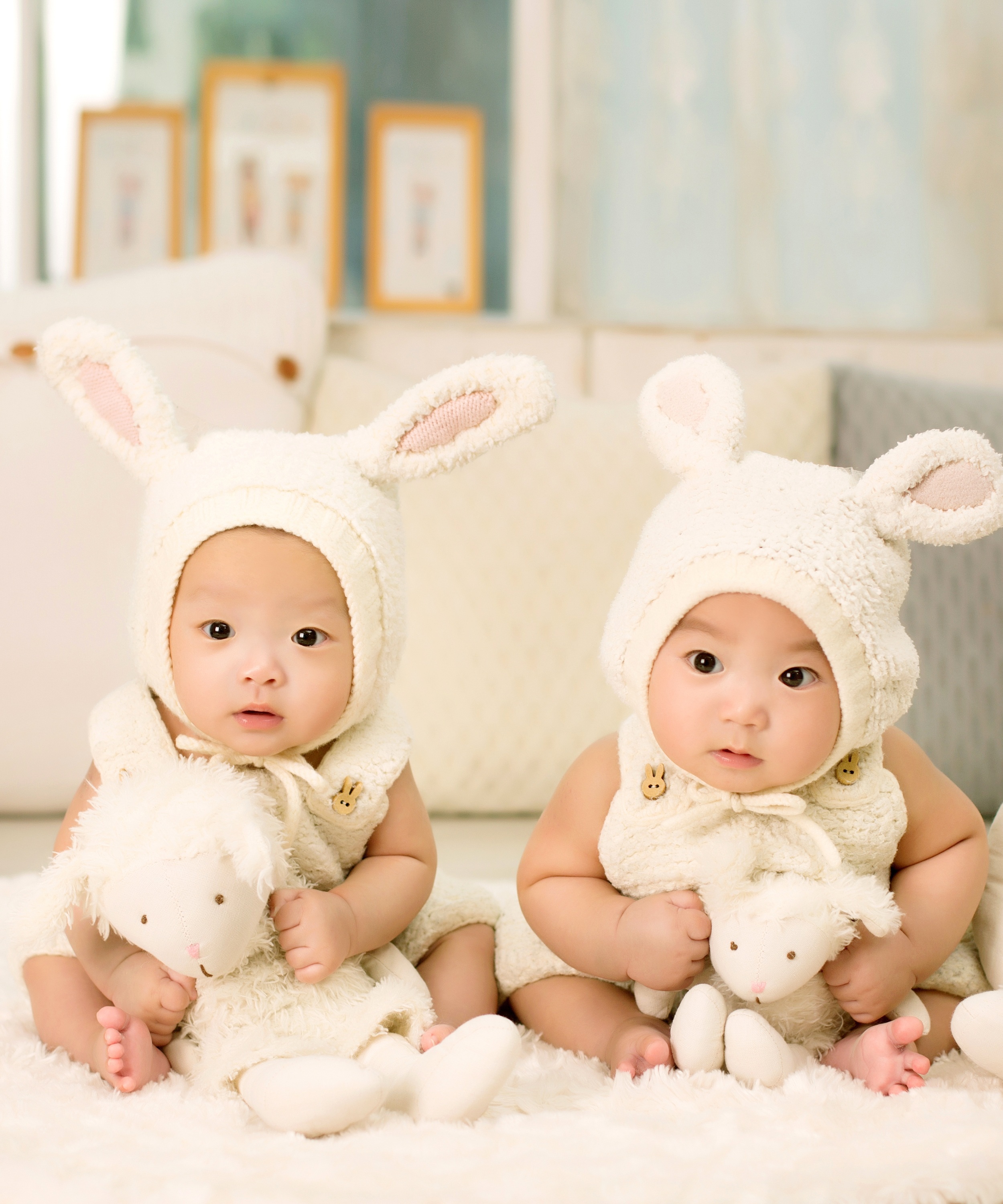babies-772439.jpg Two adorable twin babies in bunny pajamas, holding sheep plushies