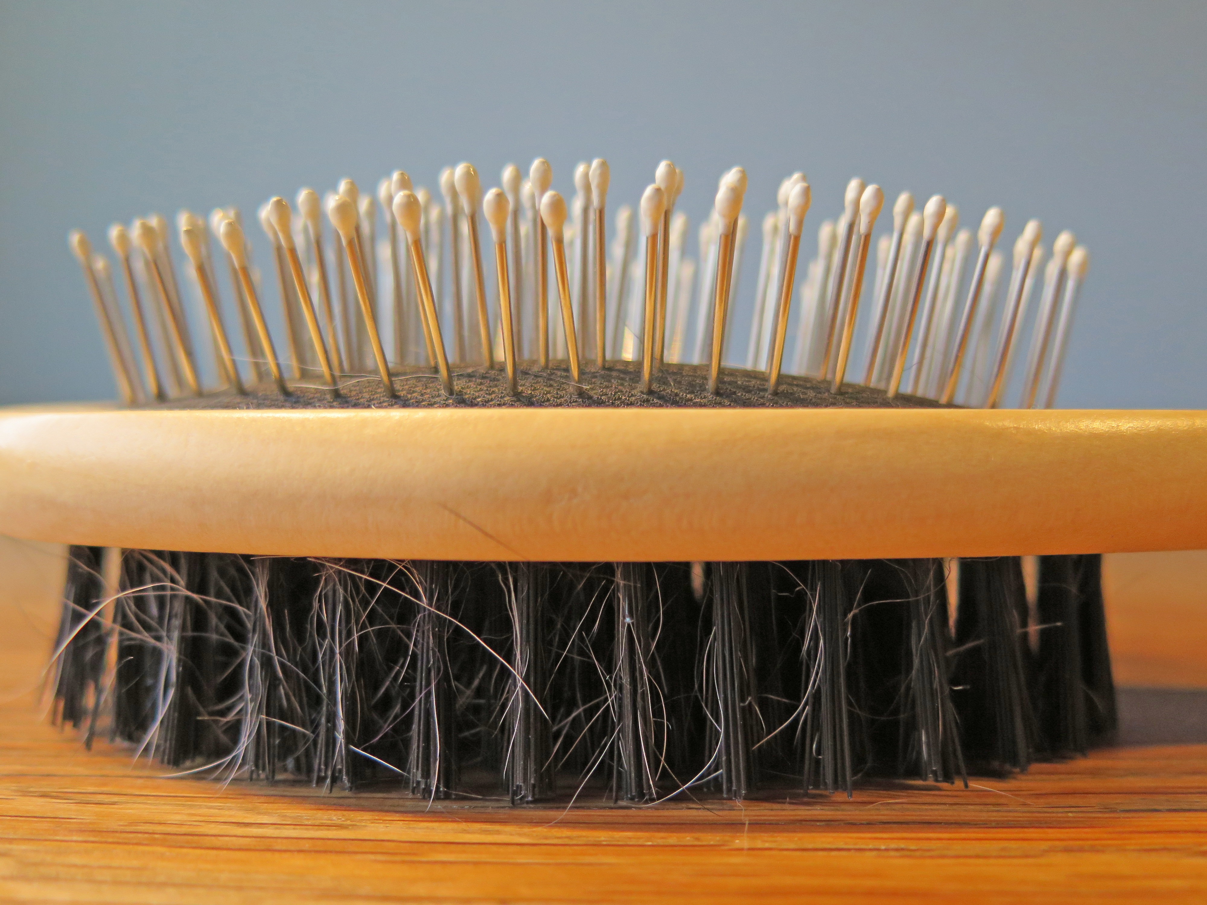 Closeup of a yellow wooden pet brush with some loose hairs in it, with metal bristles on the top and nylon bristles on the bottom side