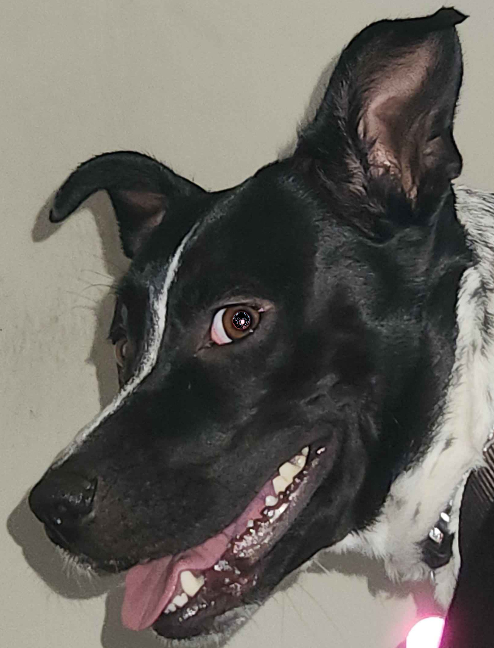 BeansidheGrin.jpg