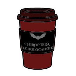 Red and Black Coffee cup with a gray bat and gray writing saying 