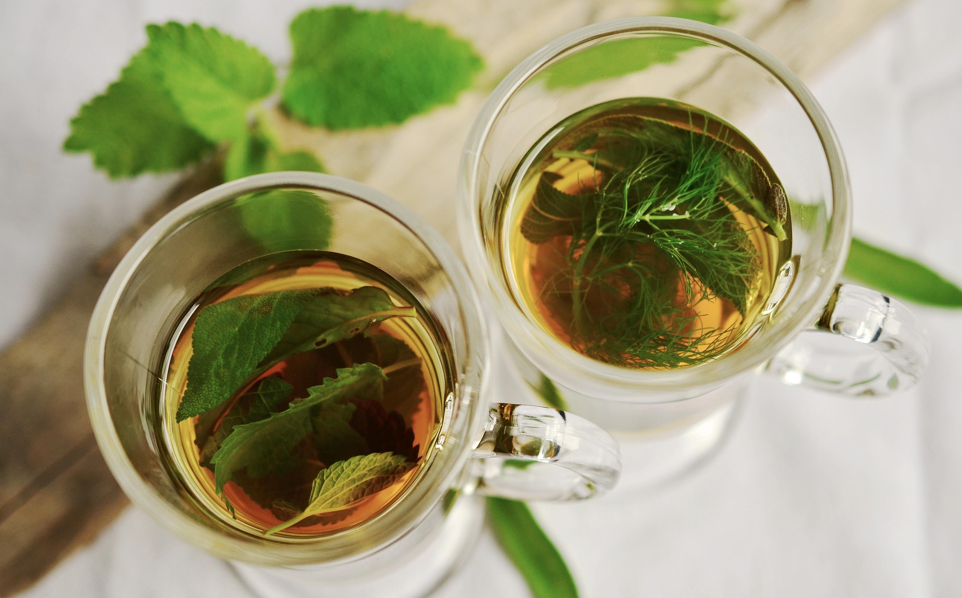 Two glass cups of herbal tea made with fresh herbs, with a white table laden with herbs in the background