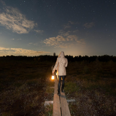 dmiiva1987.png Person on path a night with lantern