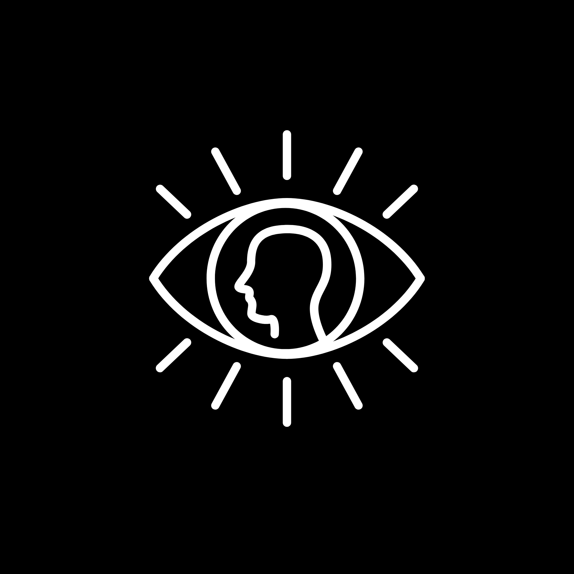 Visionary