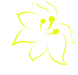 Flower3.png