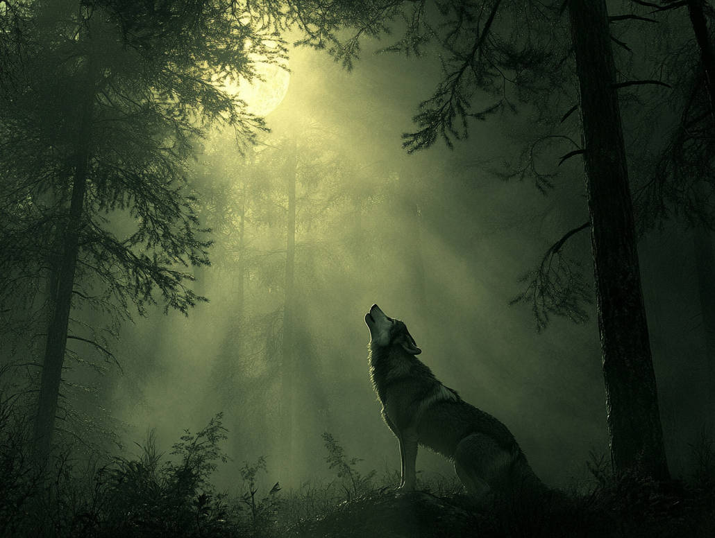 _howl_by_witzend77_dkqwhdk-pre.jpg