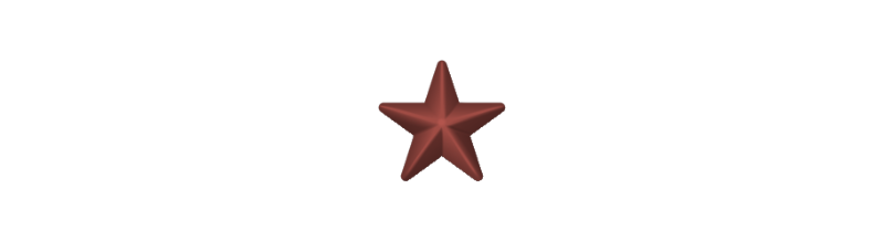 Bronze Star 1