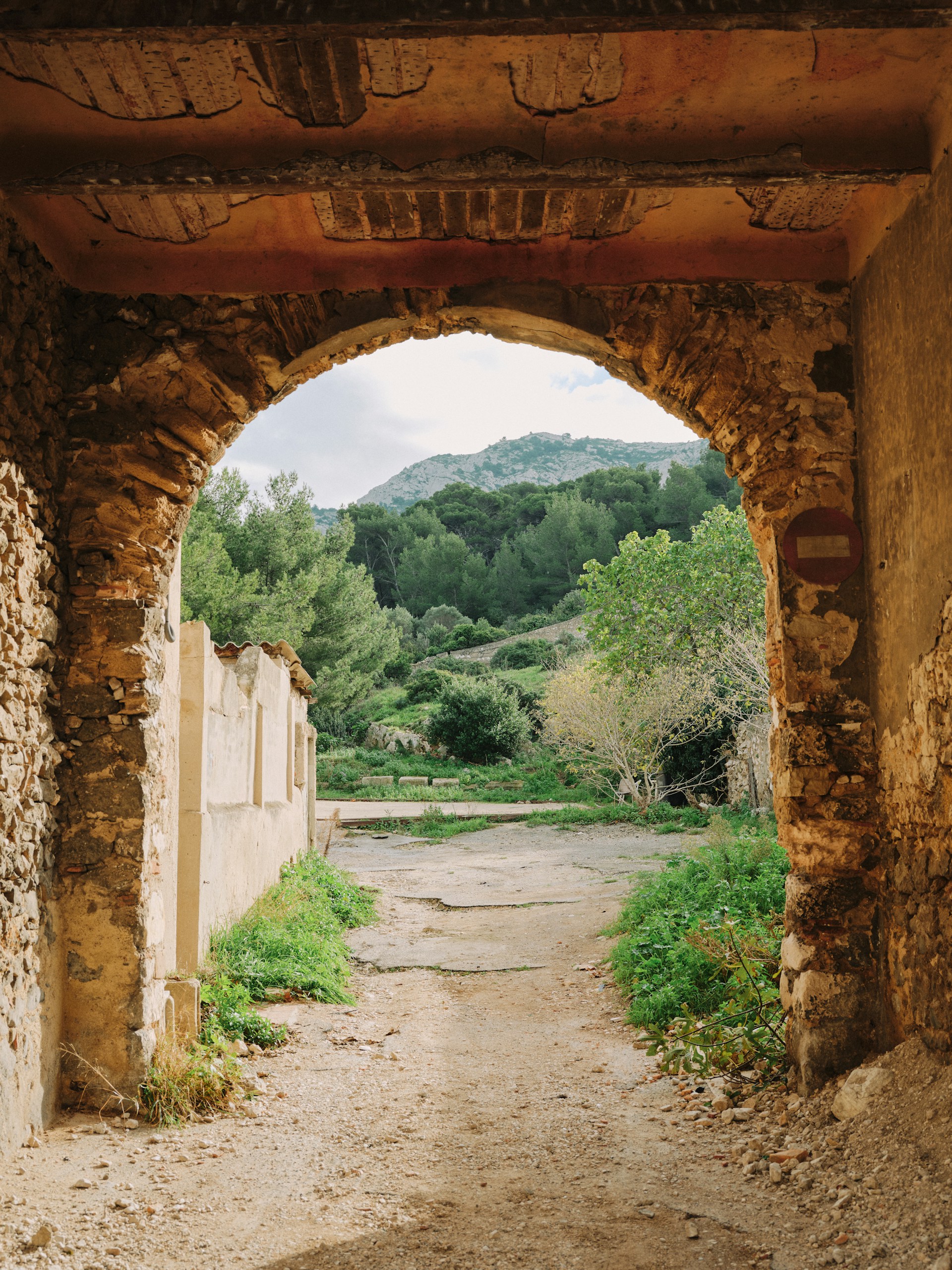 roberta-sant-anna-rXYLge85AvY-unsplash.jpg