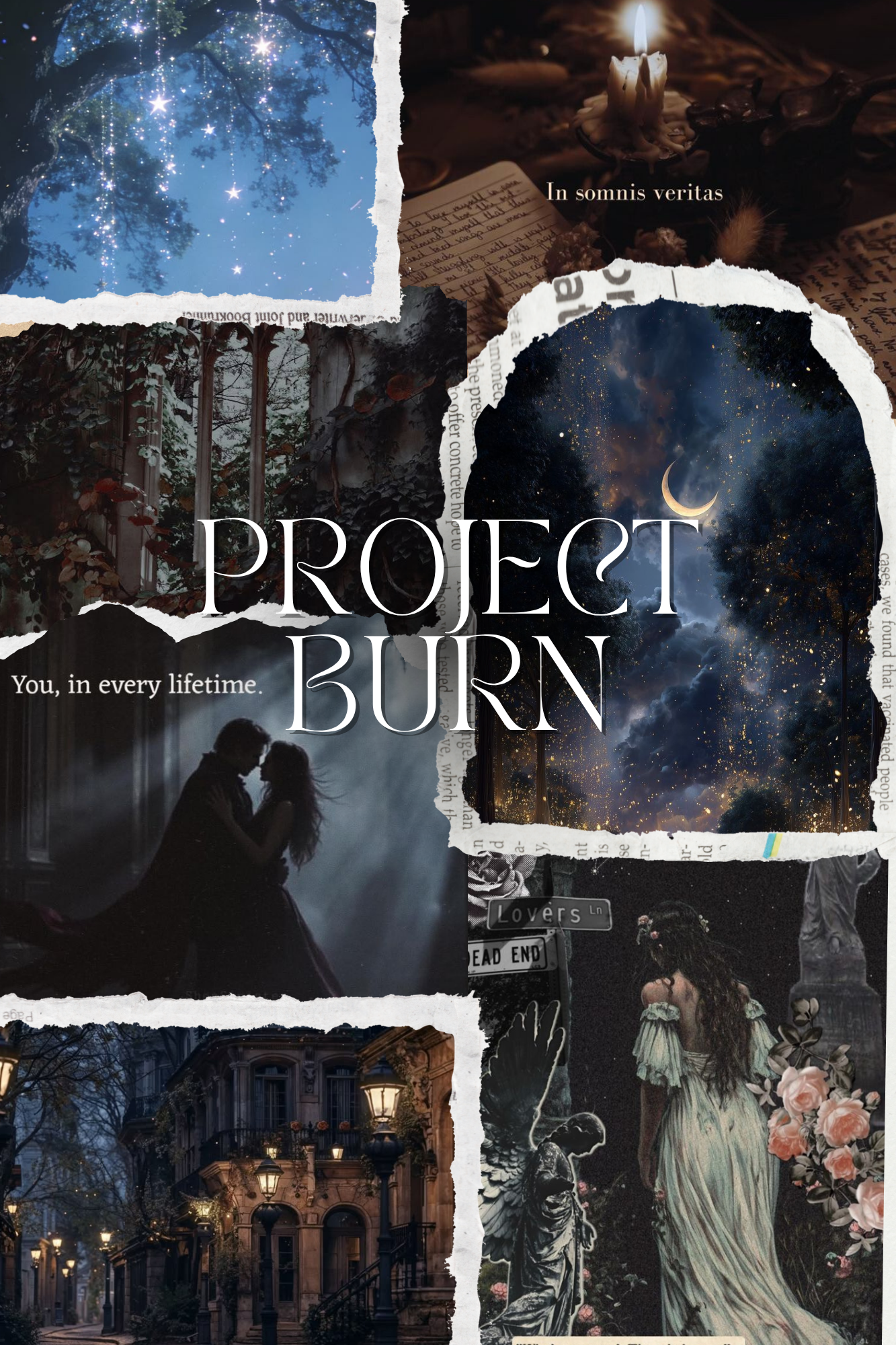 Project Burn.png